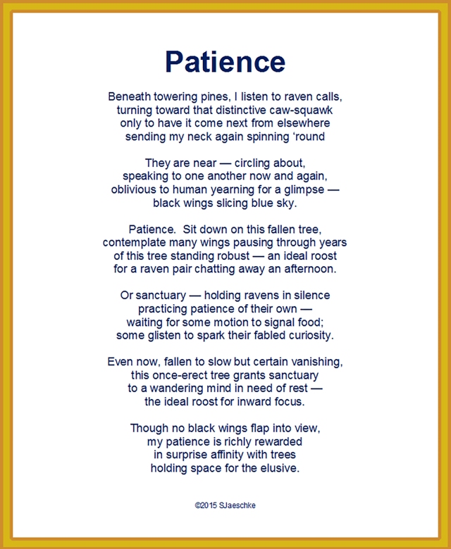 Post_2015-08-17_Poem_Patience